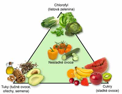 Triangl sluneční stravy podle Davida Wolfa